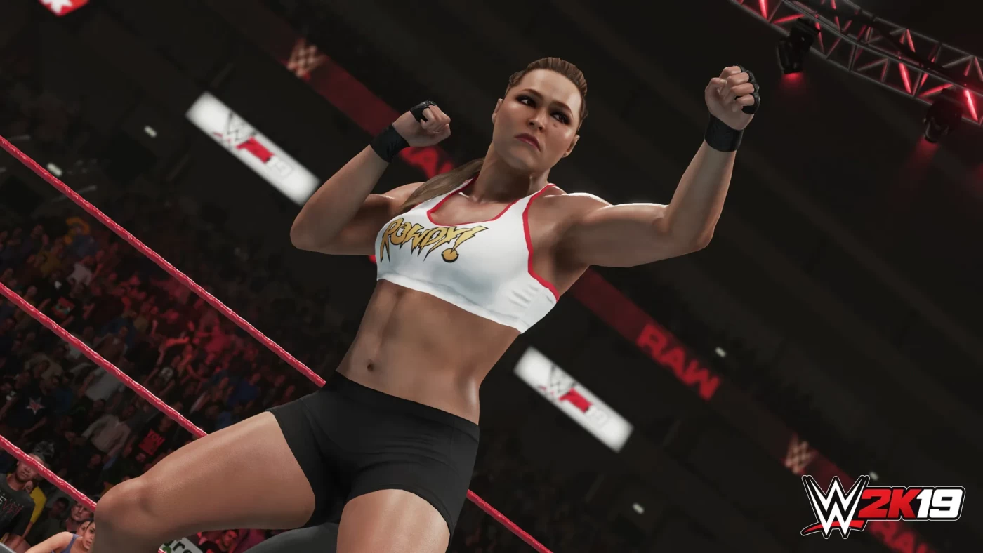 图片[2]-[体育竞技]WWE 2K19/WWE 2K19-漫游窝